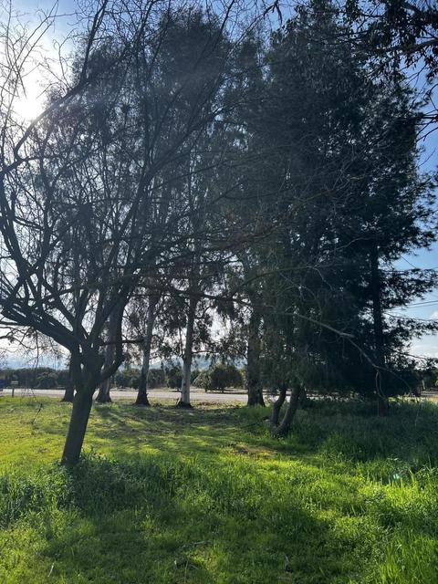 22070 Ave 312, Exeter, CA 93221 photo 33