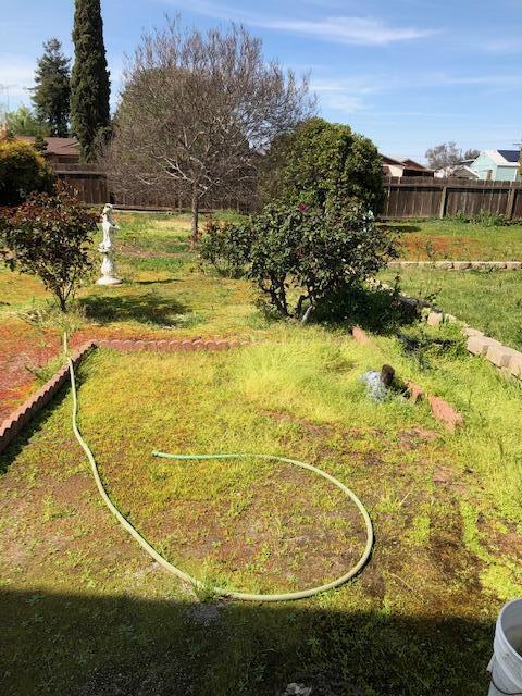 19713 Roth Rd, Strathmore, CA 93267 photo 12