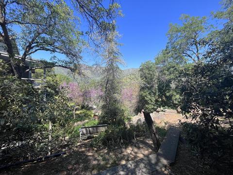 43877 Skyline Dr, Three Rivers, CA 93271 photo 56