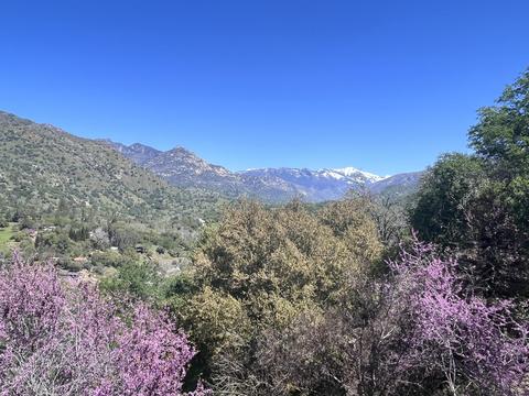 43877 Skyline Dr, Three Rivers, CA 93271 photo 19