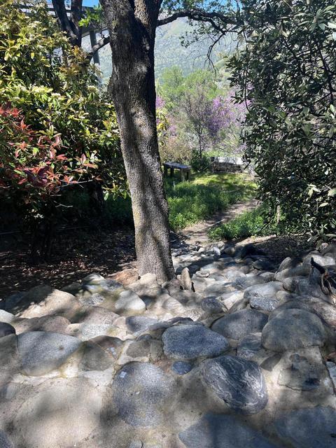 43877 Skyline Dr, Three Rivers, CA 93271 photo 58