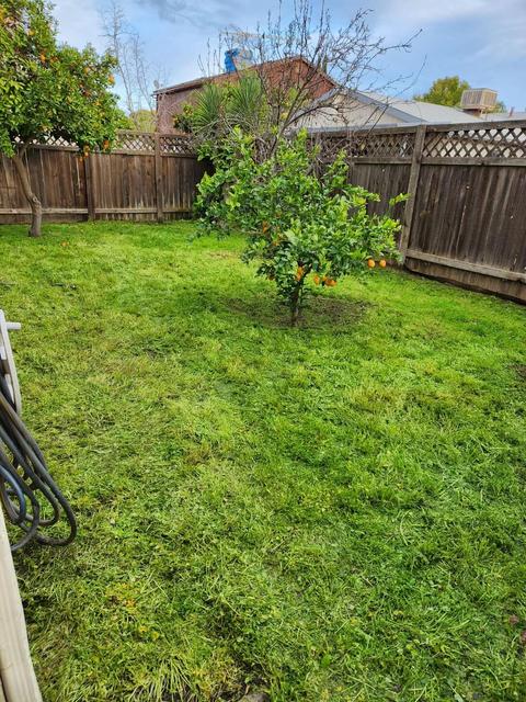 237 E Harold Ct, Visalia, CA 93291 photo 22