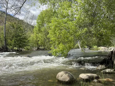 View/Area - 40863 Sierra Dr #D, Three Rivers, CA 93271 photo 4 of 20