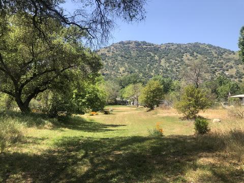 41908 N Fork Dr, Three Rivers, CA 93271 photo 9