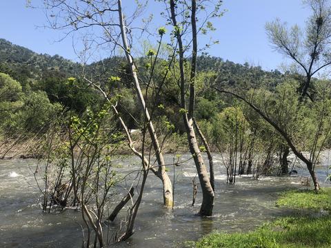 41908 N Fork Dr, Three Rivers, CA 93271 photo 4