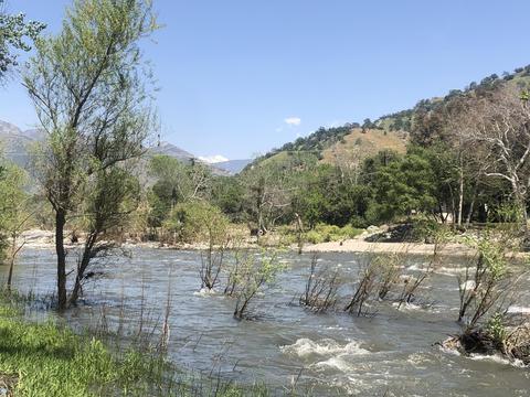 41908 N Fork Dr, Three Rivers, CA 93271 photo 2