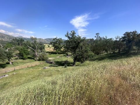 Feather Lane, Squaw Valley, CA 93675 photo 8
