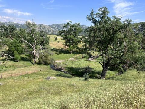 Feather Lane, Squaw Valley, CA 93675 photo 7