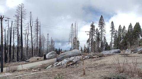 54403 Hossack Dr, Sequoia Crest, CA 93265 photo 7
