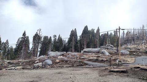 54403 Hossack Dr, Sequoia Crest, CA 93265 photo 9