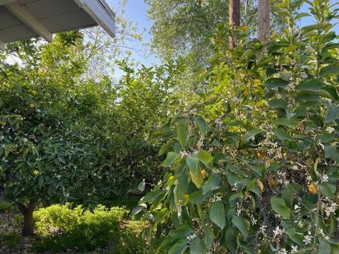 425 S F St, Exeter, CA 93221 photo 11