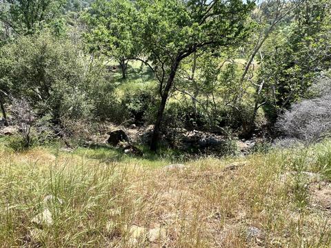 0 Craig Ranch Rd, Three Rivers, CA 93271 photo 6