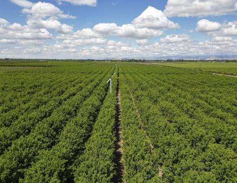 Road 176, Exeter, CA 93221 photo 11