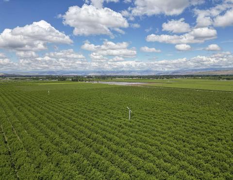 Road 176, Exeter, CA 93221 photo 12