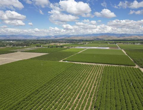 Road 176, Exeter, CA 93221 photo 14