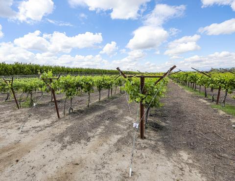 Road 176, Exeter, CA 93221 photo 5