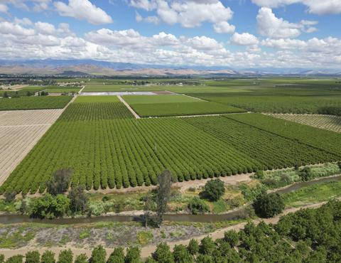 Road 176, Exeter, CA 93221 photo 15