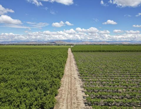 Road 176, Exeter, CA 93221 photo 10