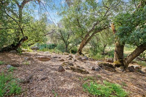41926 Black Oak Dr, Three Rivers, CA 93271 photo 83