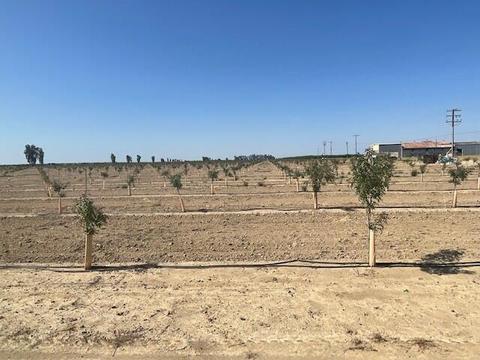 Avenue 120, Pixley, CA 93256