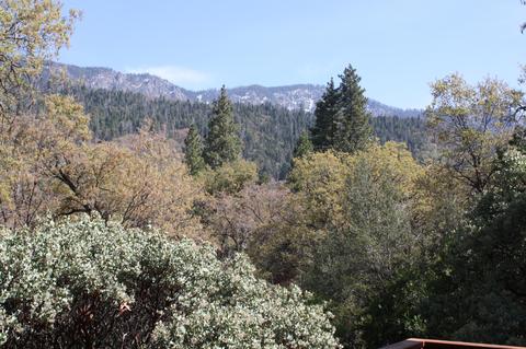 282 Goodan Ct, Springville, CA 93265 photo 32