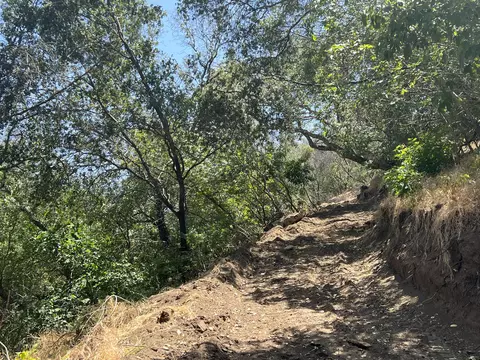 42923 N Fork Dr, Three Rivers, CA 93271 photo 42