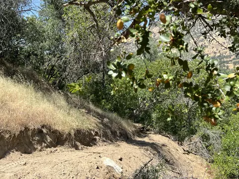 42923 N Fork Dr, Three Rivers, CA 93271 photo 41