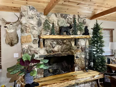 45063 Manter Meadow Dr, California Hot Springs, CA 93207