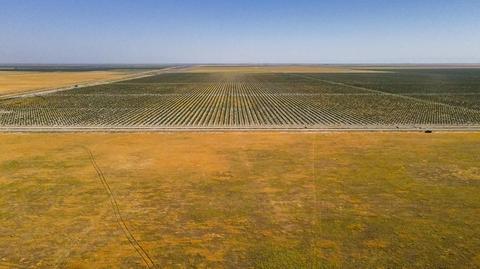E/2 Of Sw/4 Of Se/4 Sec 6:24/2, Alpaugh, CA 93201