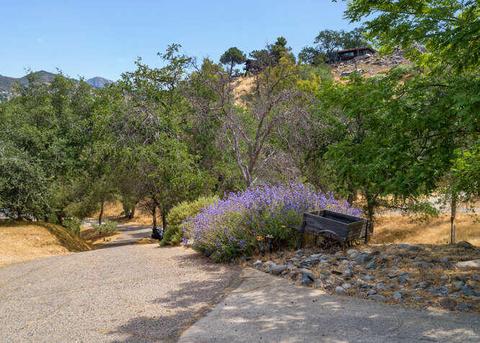 43786 Oak Dr, Three Rivers, CA 93271 photo 5