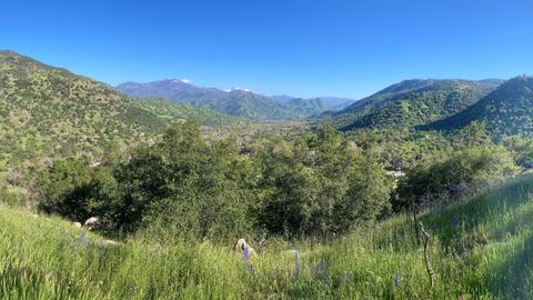 44113 N Fork Dr, Three Rivers, CA 93271 photo 43