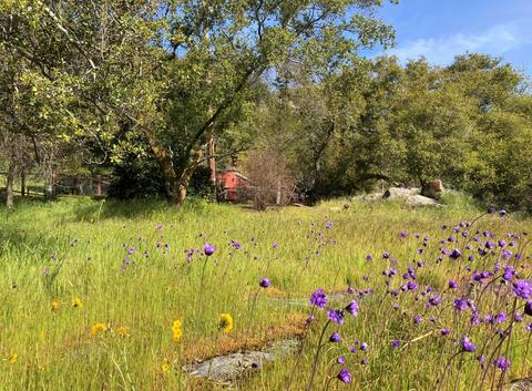 44113 N Fork Dr, Three Rivers, CA 93271 photo 39