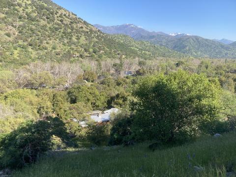 44113 N Fork Dr, Three Rivers, CA 93271 photo 42