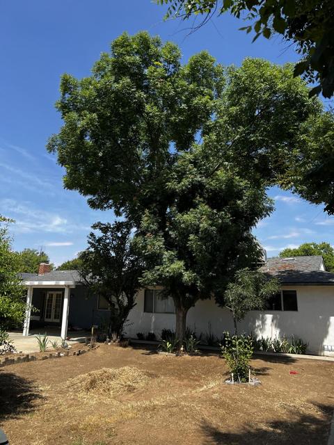 896 Renn Ave, Clovis, CA 93611 photo 23