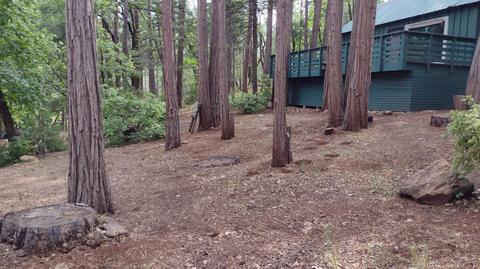 1835 Barnes Ct, Camp Nelson, CA 93208 photo 40