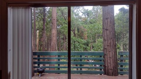 1835 Barnes Ct, Camp Nelson, CA 93208 photo 24