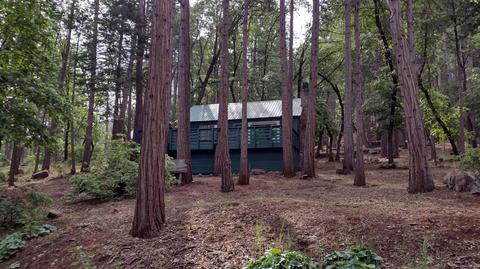 1835 Barnes Ct, Camp Nelson, CA 93208 photo 41