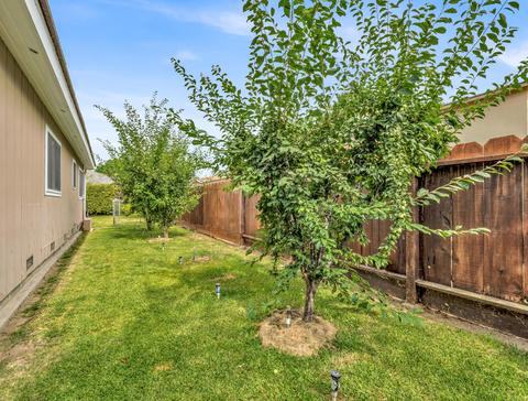 126 S Olive St, Lemoore, CA 93245 photo 22