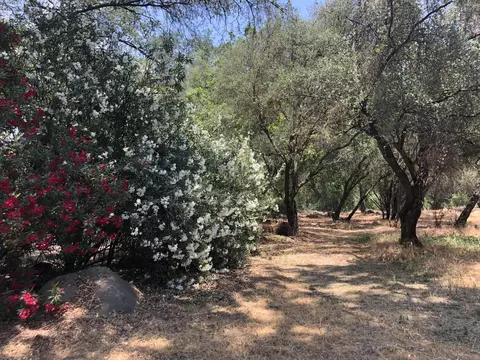 43813 S South Fork Dr, Three Rivers, CA 93271 photo 4