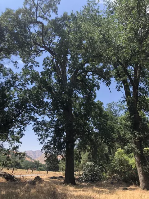 43813 S South Fork Dr, Three Rivers, CA 93271 photo 35
