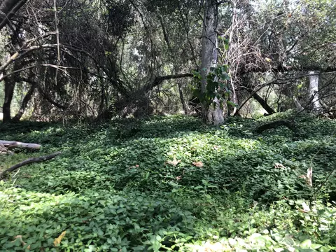 43813 S South Fork Dr, Three Rivers, CA 93271 photo 23