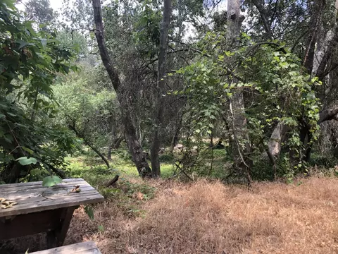 43813 S South Fork Dr, Three Rivers, CA 93271 photo 30