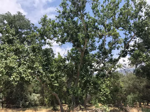 43813 S South Fork Dr, Three Rivers, CA 93271 photo 37