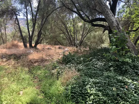 43813 S South Fork Dr, Three Rivers, CA 93271 photo 11