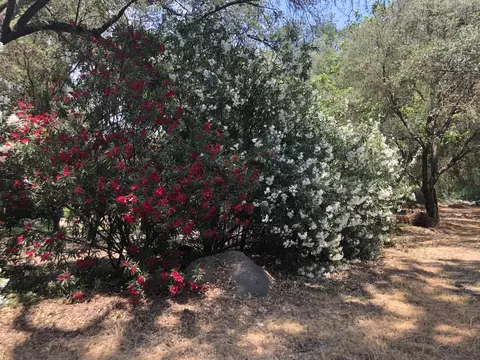 43813 S South Fork Dr, Three Rivers, CA 93271 photo 14