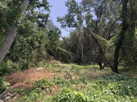 43813 S South Fork Dr, Three Rivers, CA 93271 photo 10