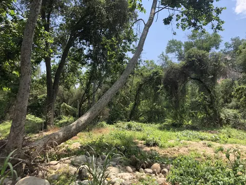 43813 S South Fork Dr, Three Rivers, CA 93271 photo 9