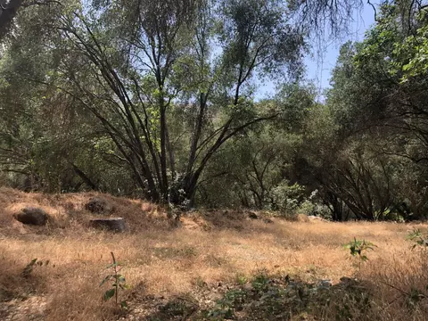 43813 S South Fork Dr, Three Rivers, CA 93271 photo 32