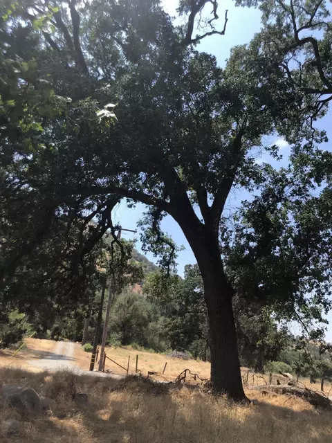 43813 S South Fork Dr, Three Rivers, CA 93271 photo 34