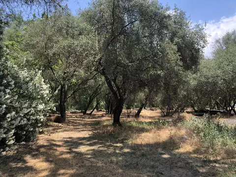 43813 S South Fork Dr, Three Rivers, CA 93271 photo 8